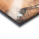 Nordic adventurism Acrylic print