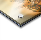 Circus stage spotlight Acrylic print