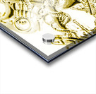 Pendant port Acrylic print