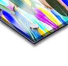 Color Novella Acrylic print