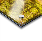 Choose your own adventure Acrylic print