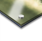 Majestic morning lake Acrylic print