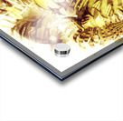 Tropical reef Acrylic print