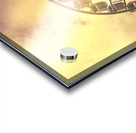 Riding high Acrylic print