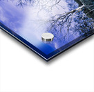 Dark scene from scary dreams Acrylic print