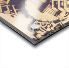 Scaled Acrylic print