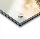 Wild morning peak Acrylic print