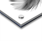 Feathermin Acrylic print