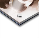 Stories of fleeting romance Acrylic print