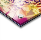 Floral flare Acrylic print