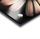 Dark Flower Acrylic print