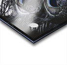 Dark blue peacock feathers  Acrylic print