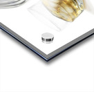 Bourbon Whisky Canter Acrylic print