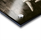 Demon Hunter Acrylic print