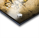 Earthly togetherness Acrylic print