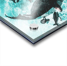 The shallows Acrylic print