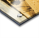 Strahan sand dune landscape Acrylic print