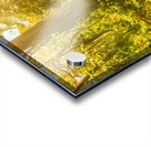 Lostwoods Acrylic print