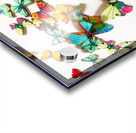 Color pop Acrylic print