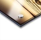 Oceanic harmony Acrylic print