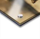 No escape Acrylic print