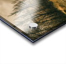 In winters way Acrylic print