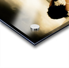 Future Vision Acrylic print