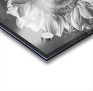 Summer nostalgia Acrylic print