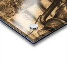 Whiskey at the rusty saw mill Acrylic print