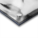 Black white and red lipgloss pinup Acrylic print