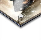 Gift From Above Acrylic print