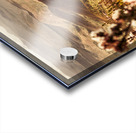 Spring mountain blossoms Acrylic print