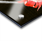 Inversion to the mean Acrylic print