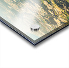 Gold Coast aerial photograph Acrylic print