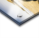 Seven Mile Beach Acrylic print