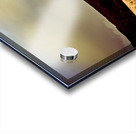 Collapsing old wooden farm building Acrylic print