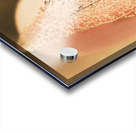 Autumn fragility Acrylic print