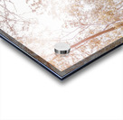 Touring Mt Walsh National Park Acrylic print