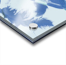 Blue toned artistic feather abstract Acrylic print