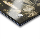 Vintage cabernet show Acrylic print