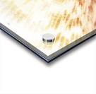 Colorful light flare over seashell Acrylic print