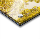 Up and away Acrylic print