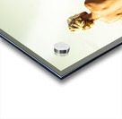 Elegant classical beauty  Acrylic print