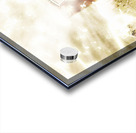 Music Notes Acrylic print