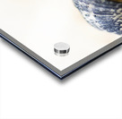 Harry Hermit Crab Acrylic print