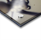 Caught in a web of entrapment Acrylic print