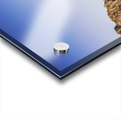 Scenic barren range Acrylic print