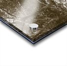 Landlocked Acrylic print