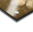 Vintage postcard flower Acrylic print