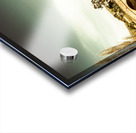 Australian bridges Acrylic print